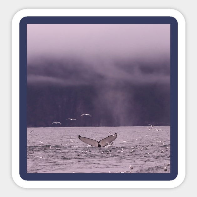 Whale Tail Sticker by Oregon Art Shop